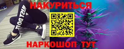 индика Будённовск
