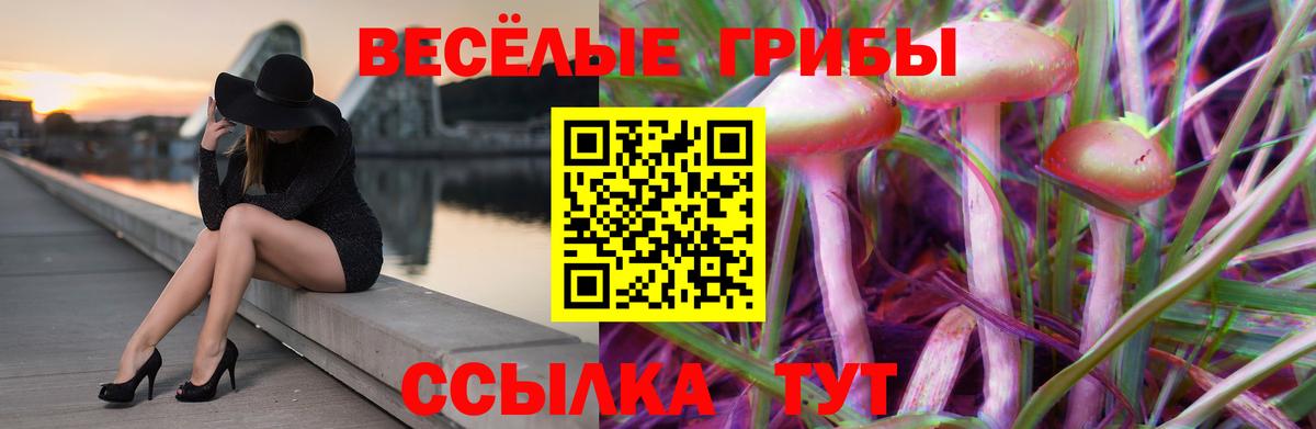 Псилоцибиновые грибы мухоморы  Псилоцибиновые грибы Psilocybe  Вход с VPN  Благовещенск 